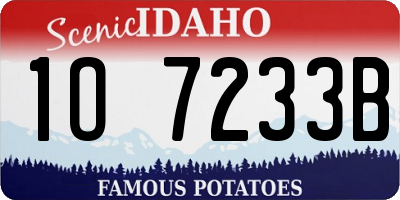 ID license plate 1O7233B