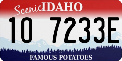 ID license plate 1O7233E