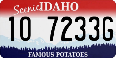 ID license plate 1O7233G
