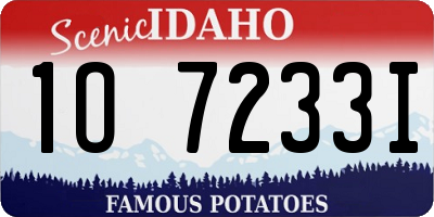 ID license plate 1O7233I