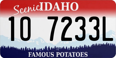 ID license plate 1O7233L