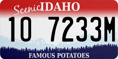 ID license plate 1O7233M
