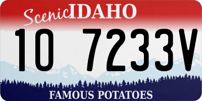 ID license plate 1O7233V