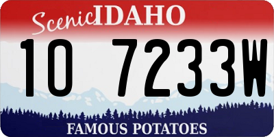 ID license plate 1O7233W
