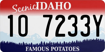 ID license plate 1O7233Y