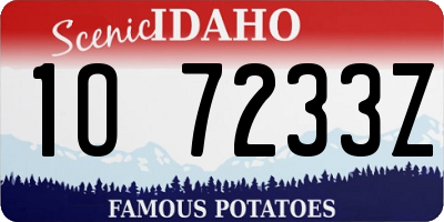 ID license plate 1O7233Z