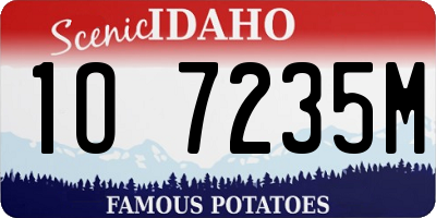 ID license plate 1O7235M