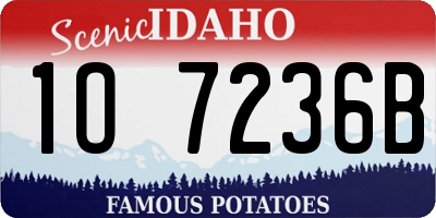 ID license plate 1O7236B