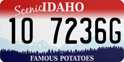 ID license plate 1O7236G