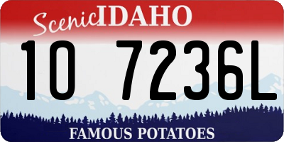 ID license plate 1O7236L