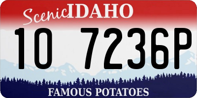 ID license plate 1O7236P