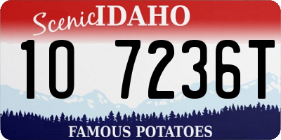 ID license plate 1O7236T