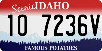 ID license plate 1O7236V