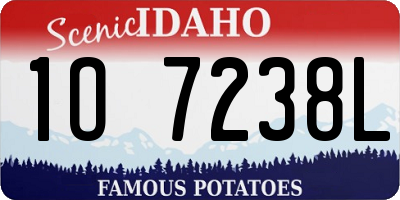 ID license plate 1O7238L