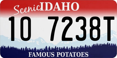 ID license plate 1O7238T