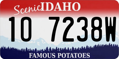 ID license plate 1O7238W