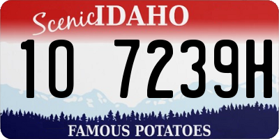 ID license plate 1O7239H
