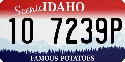 ID license plate 1O7239P