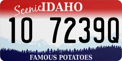 ID license plate 1O7239Q