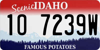 ID license plate 1O7239W