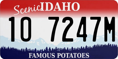 ID license plate 1O7247M