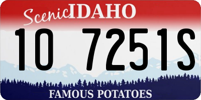 ID license plate 1O7251S