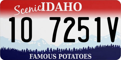 ID license plate 1O7251V