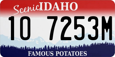 ID license plate 1O7253M