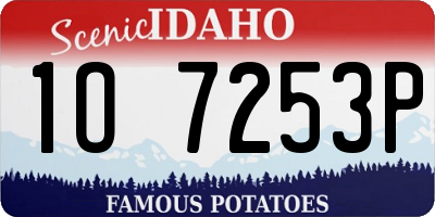 ID license plate 1O7253P