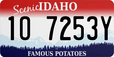 ID license plate 1O7253Y
