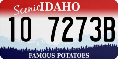 ID license plate 1O7273B