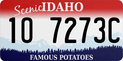 ID license plate 1O7273C