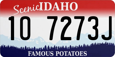 ID license plate 1O7273J