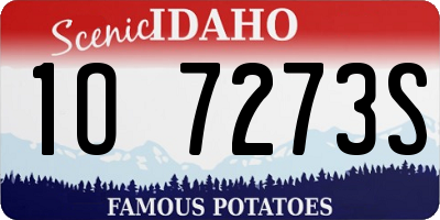 ID license plate 1O7273S