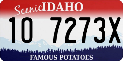 ID license plate 1O7273X