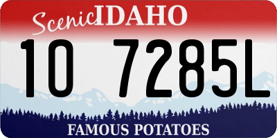 ID license plate 1O7285L