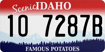 ID license plate 1O7287B