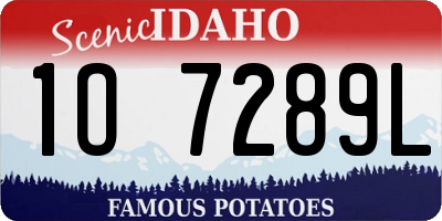 ID license plate 1O7289L