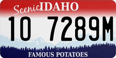 ID license plate 1O7289M