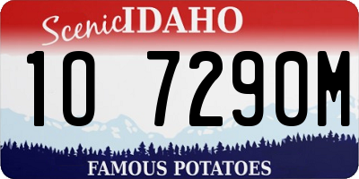 ID license plate 1O7290M