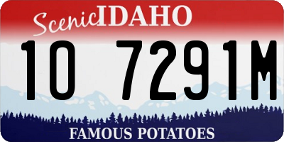 ID license plate 1O7291M