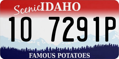 ID license plate 1O7291P