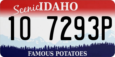 ID license plate 1O7293P