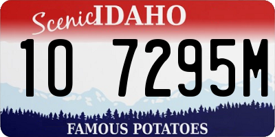 ID license plate 1O7295M