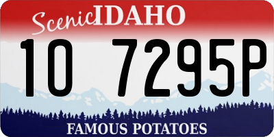 ID license plate 1O7295P