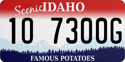 ID license plate 1O7300G