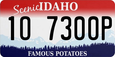 ID license plate 1O7300P