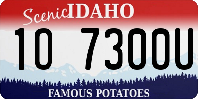 ID license plate 1O7300U