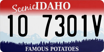 ID license plate 1O7301V