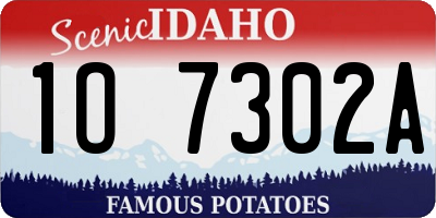 ID license plate 1O7302A